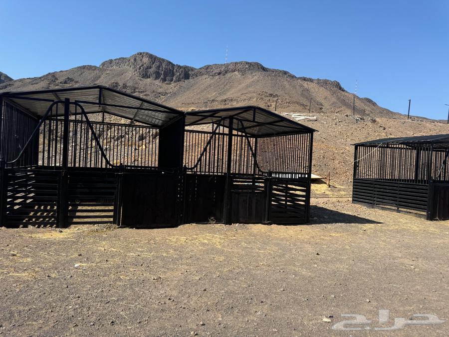 بايكات خيل للبيع غرف خيل64419398950785113