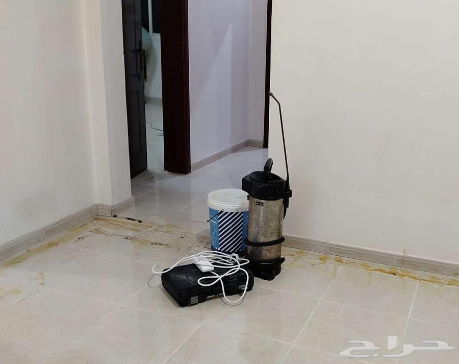 Pest Control in Mecca, Pest Control Company in Mecca64142603870083110