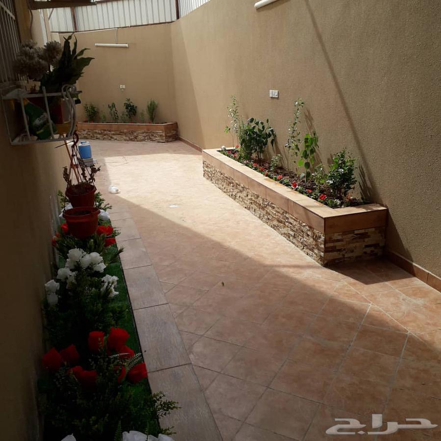 تنسيق حدائق بالرياض64260308053377111