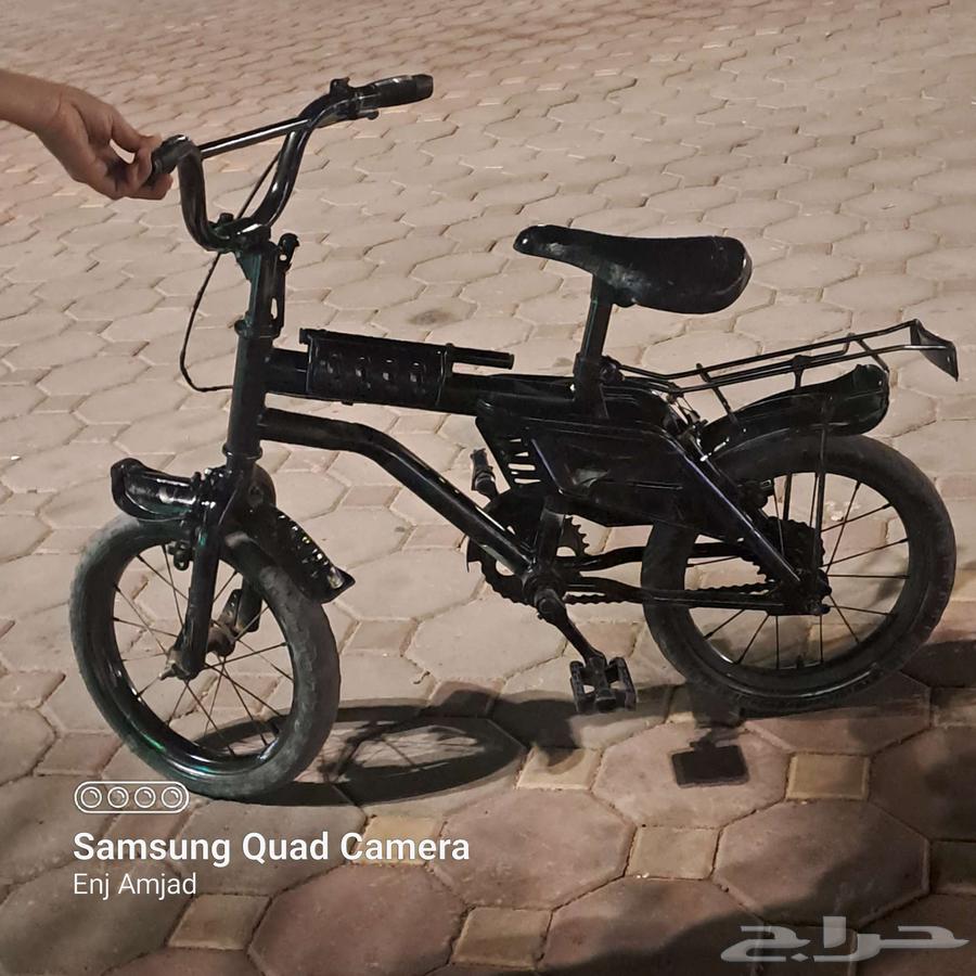 Rambho Cycle 1264419078401794110