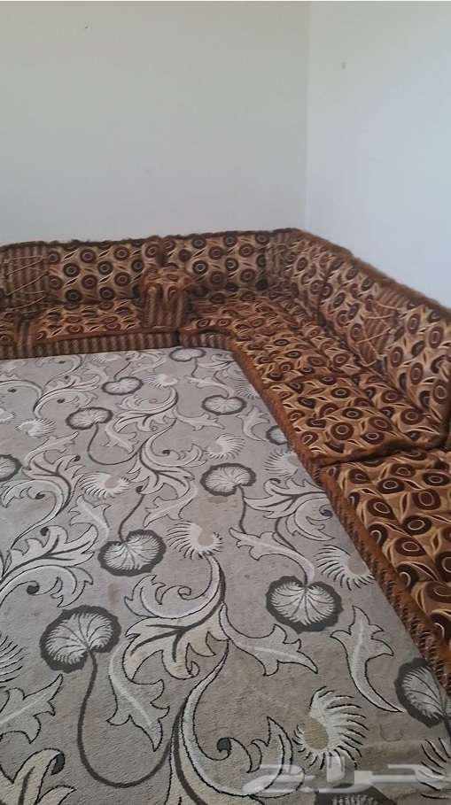 مجلس عربي64423462617986111