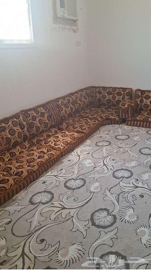 مجلس عربي64423462617986110