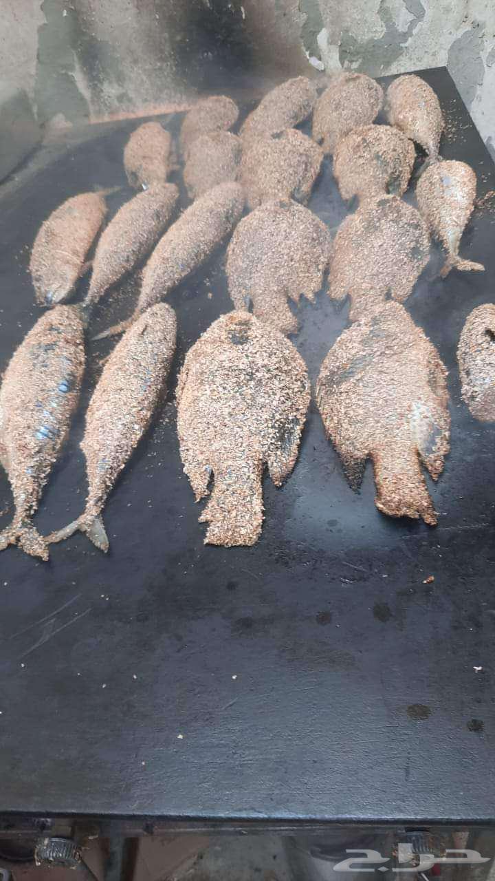 فريزر أفقي 1000ريال شوايه 5 شعله 500ريال64421838736642111