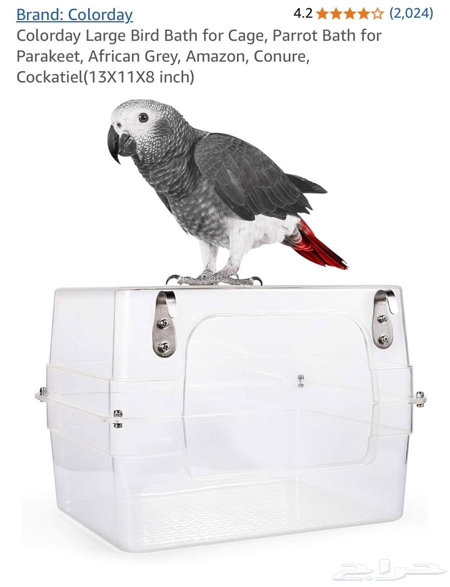 حوض سباحة للطيور كبير Bird Bath64422897152001112