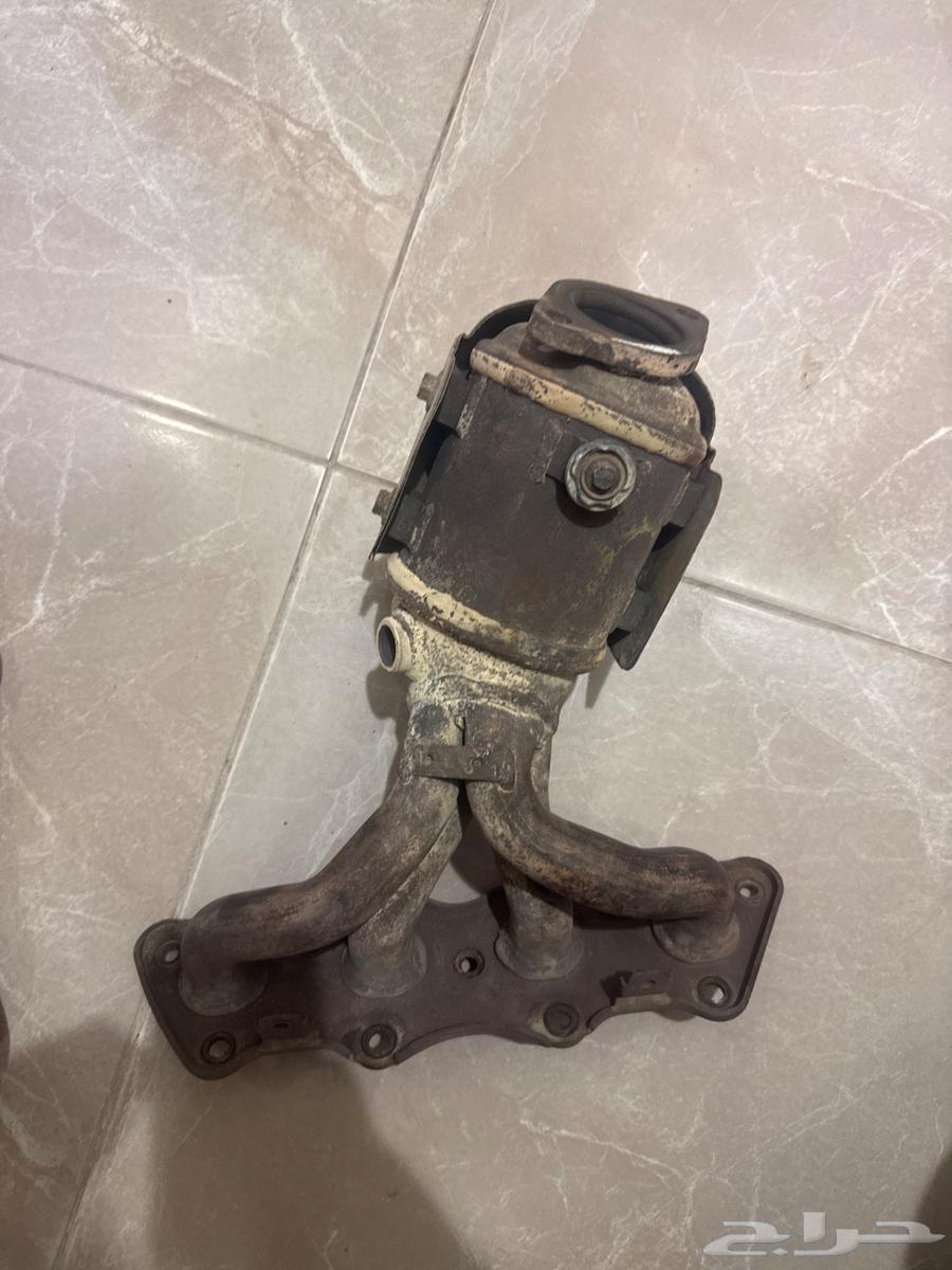 Accent pollution bear with lead64579101810562113