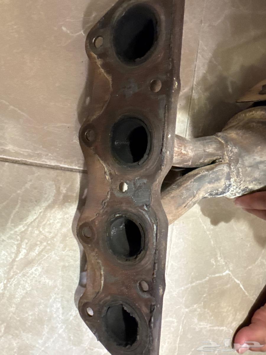 Accent pollution bear with lead64579101810562110