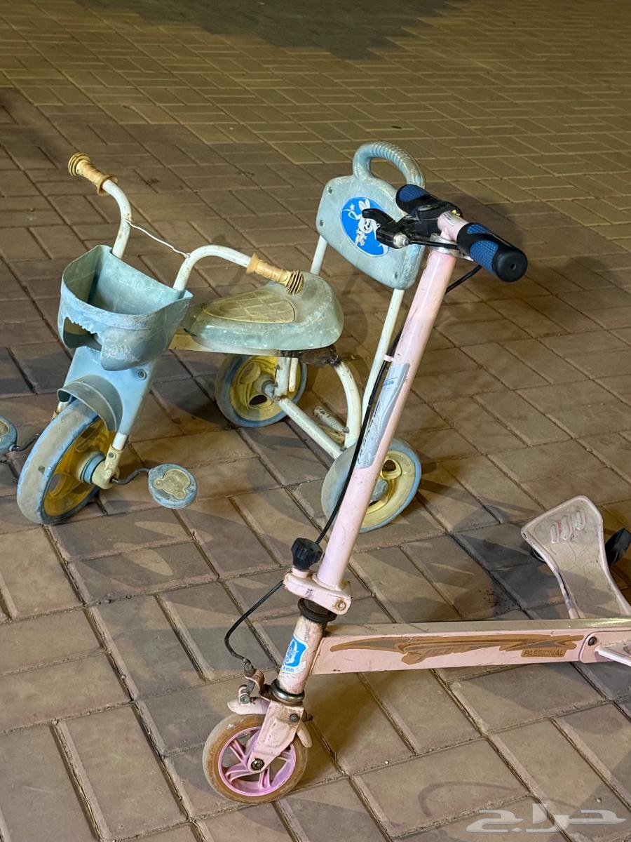 رياض الخبراء64420810274049110