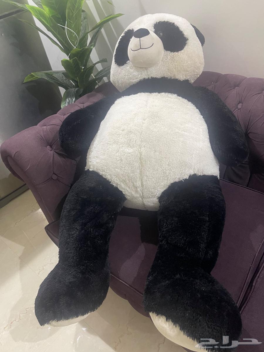 دب باندا جامبو للبيع64421581062657114