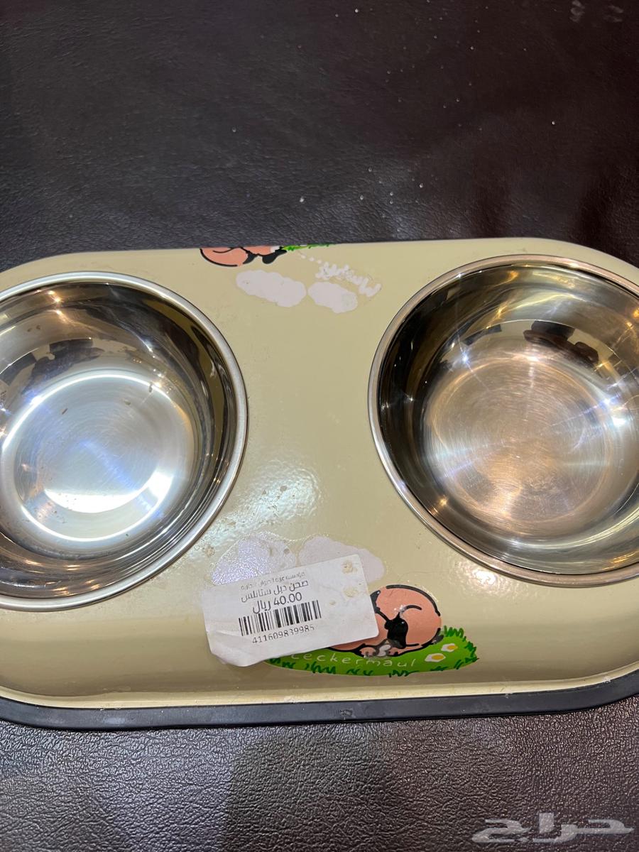 اغراض قط جديدة64424092423811114