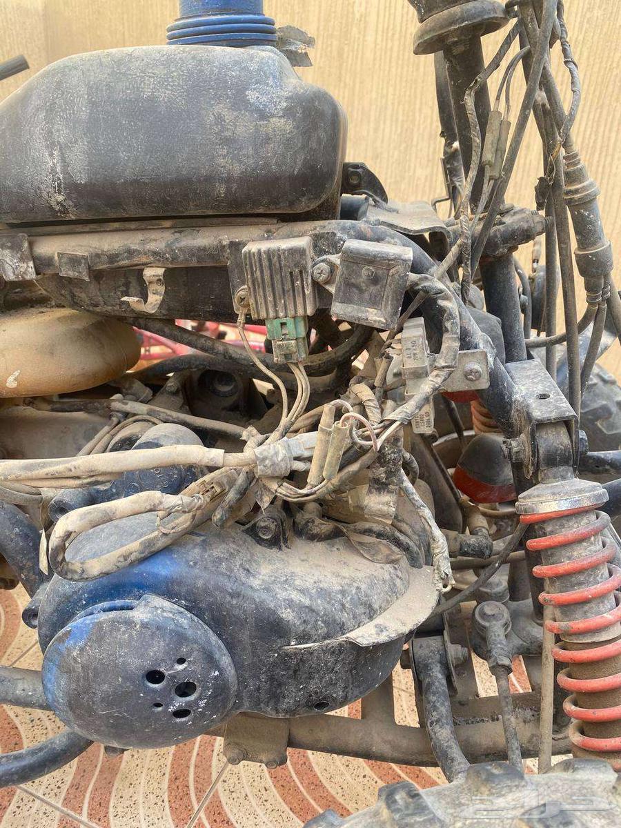 دباب64586226489729112