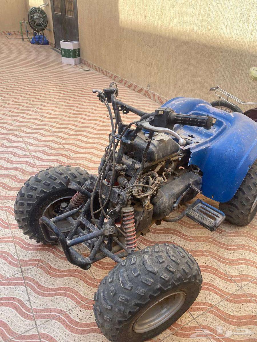 دباب64586226489729110