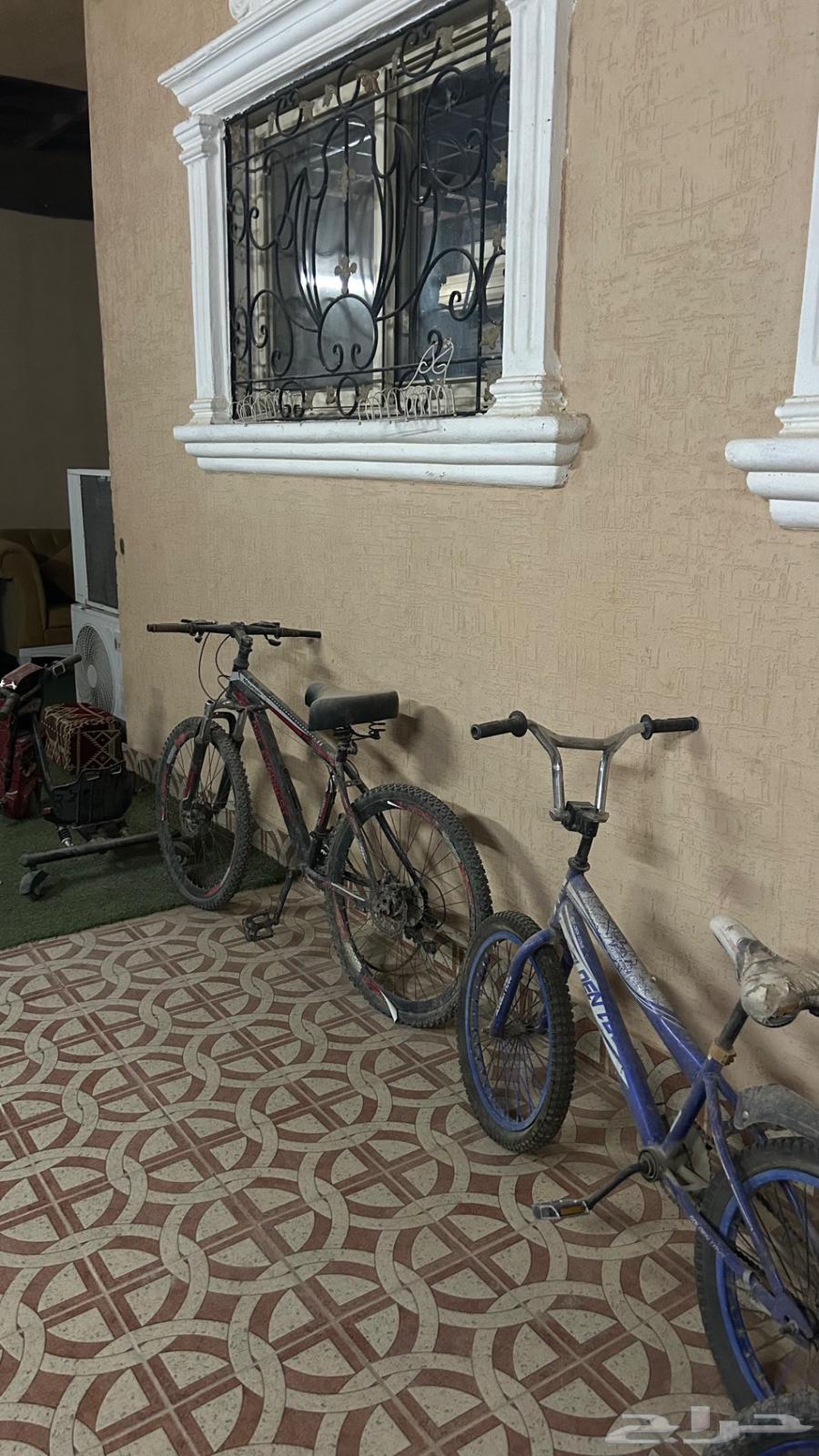 سياكل للبيع معا سكوتر64426039856387110