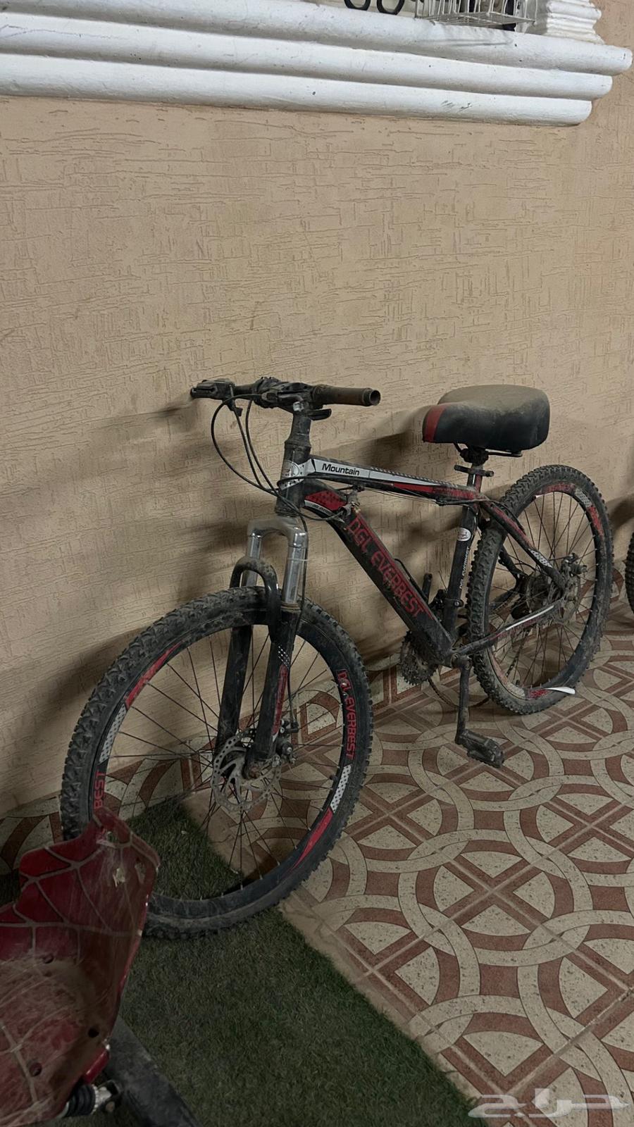 سياكل للبيع معا سكوتر64426039856387112