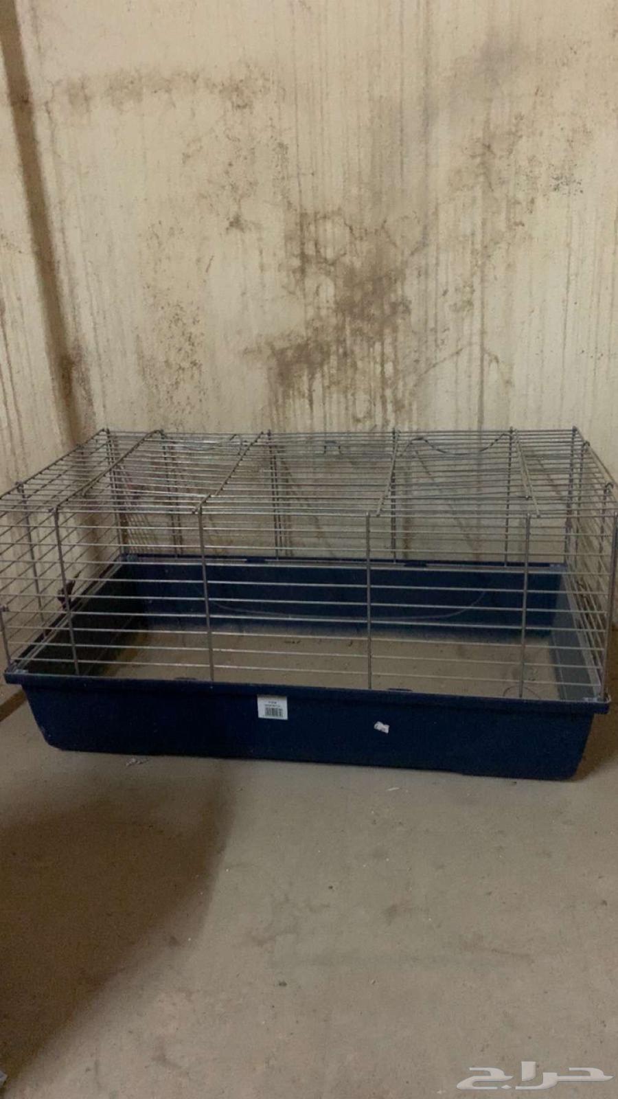 اثاث للبيع ومدخل استقبال ومنزل قطط64426308468099110