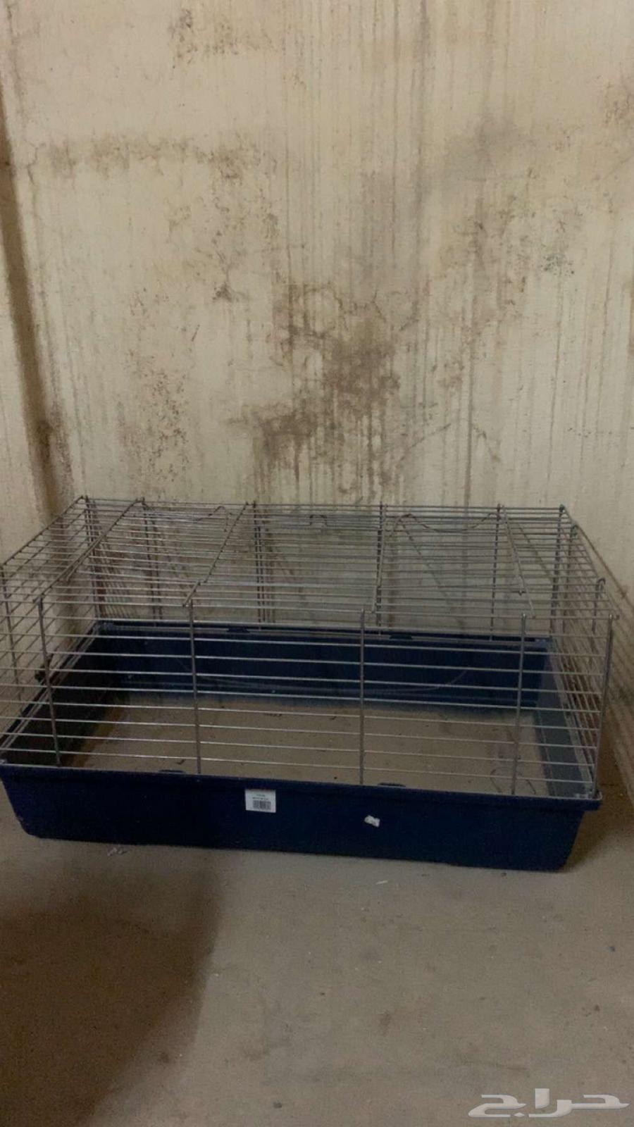 اثاث للبيع ومدخل استقبال ومنزل قطط64426308468099111