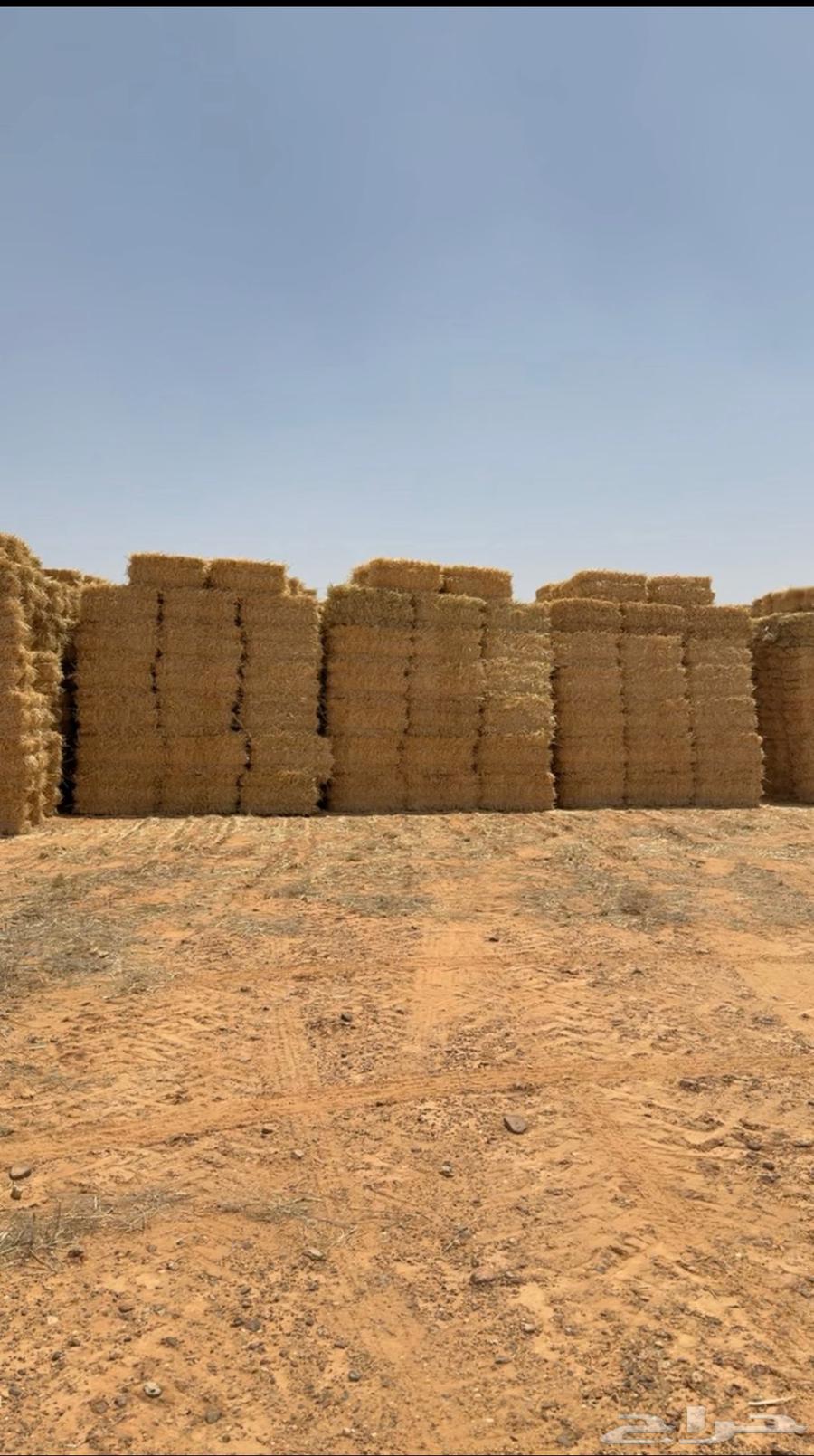 New wheat straw this year64420485888259111