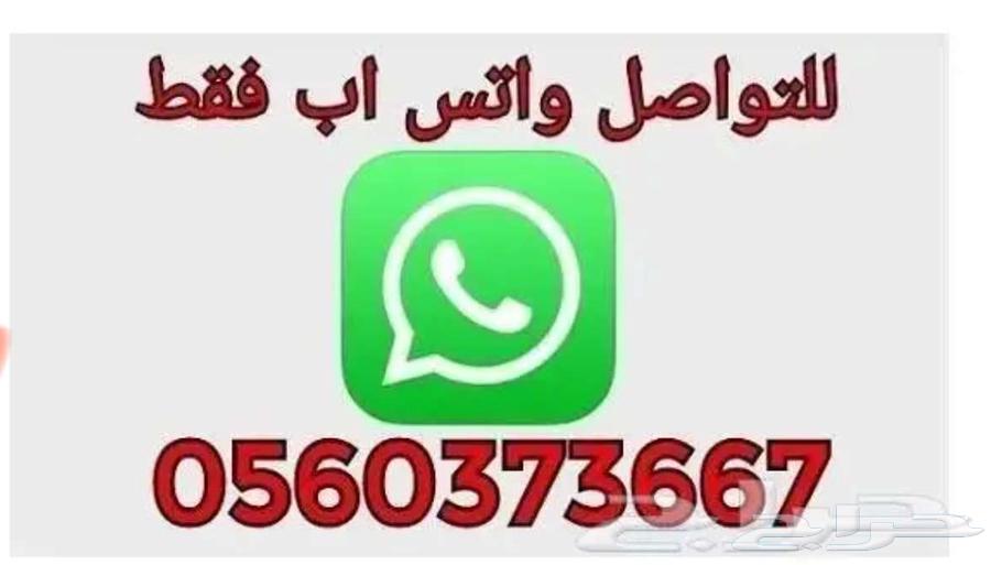 جلوتامين64420242968962111
