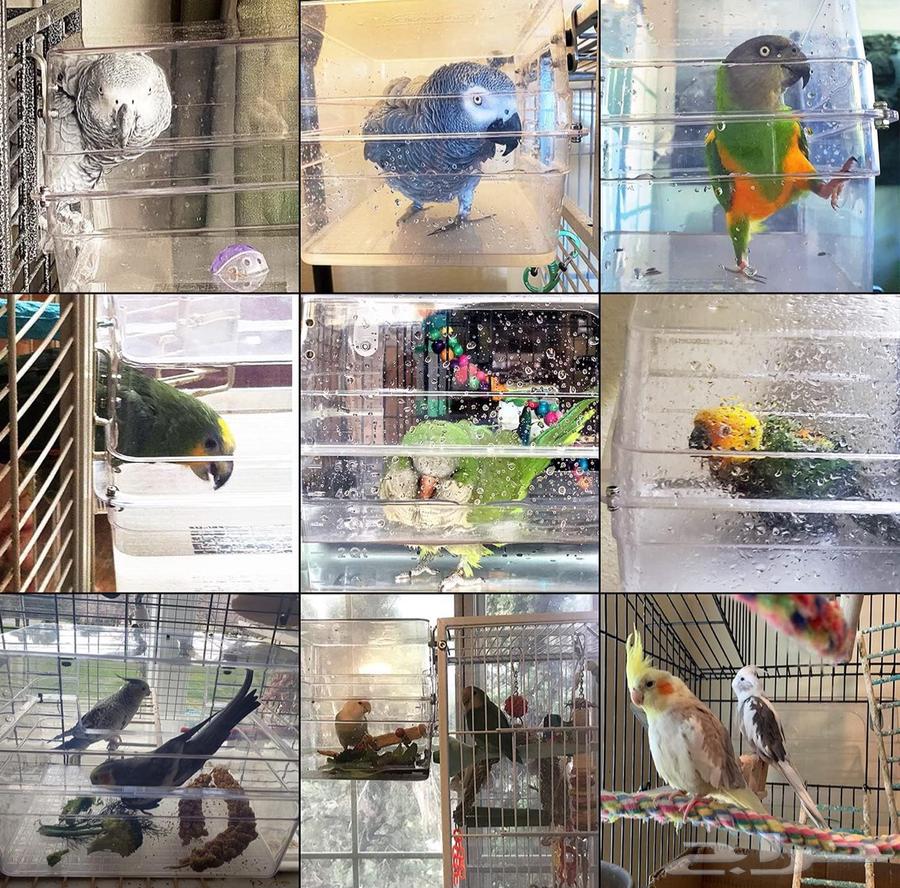 حوض سباحة للطيور كبير Bird Bath64422897152001111