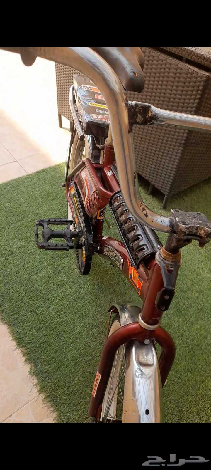 رامبو سيكل رامبو نظيف 2064428806428033111