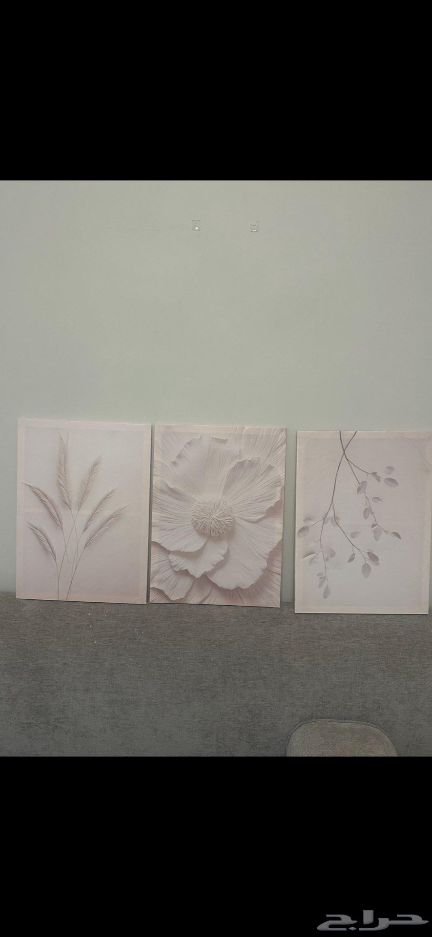 تبوك64432264581378111