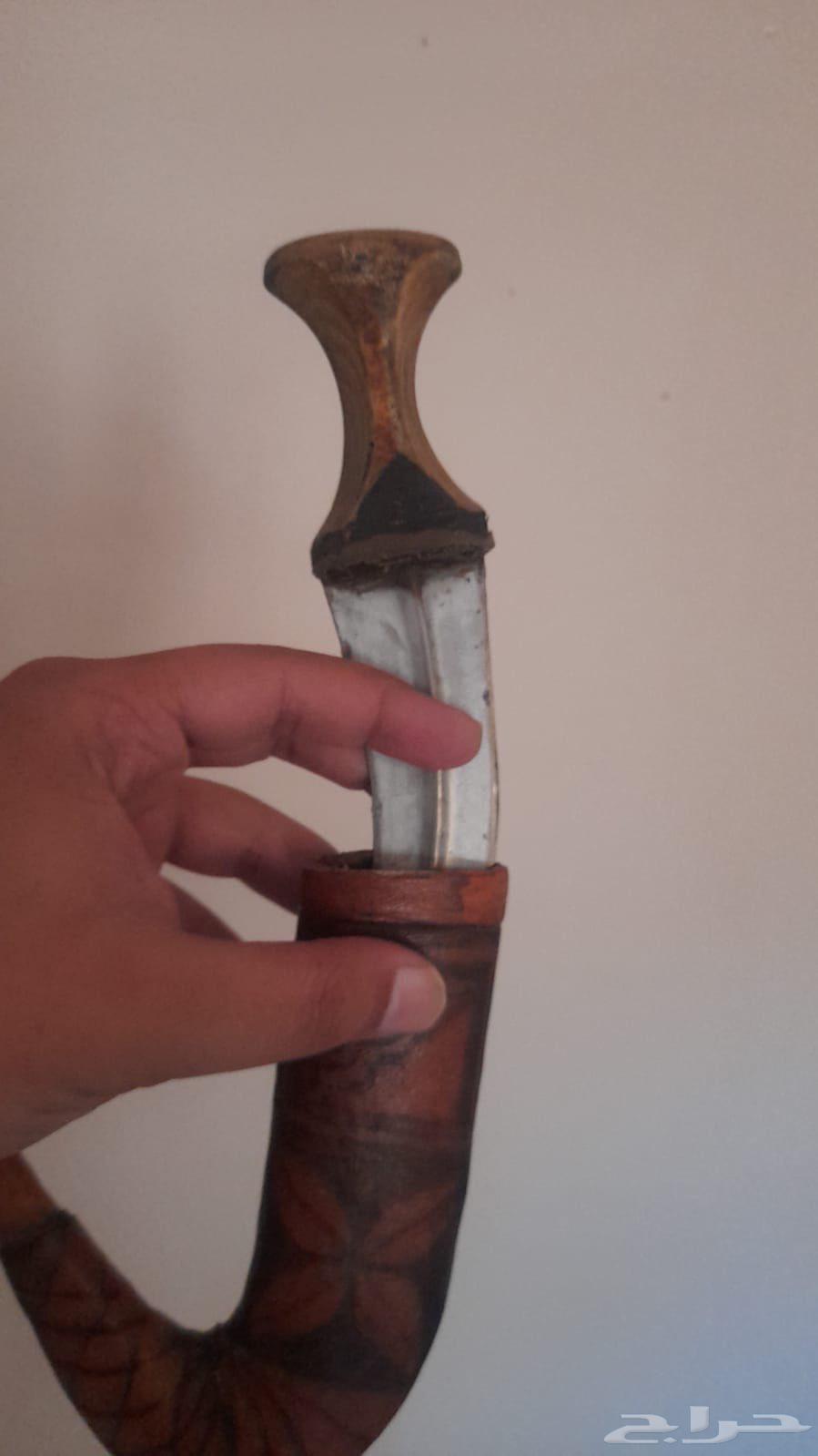 جنبية قرن جاموس64428214854658111