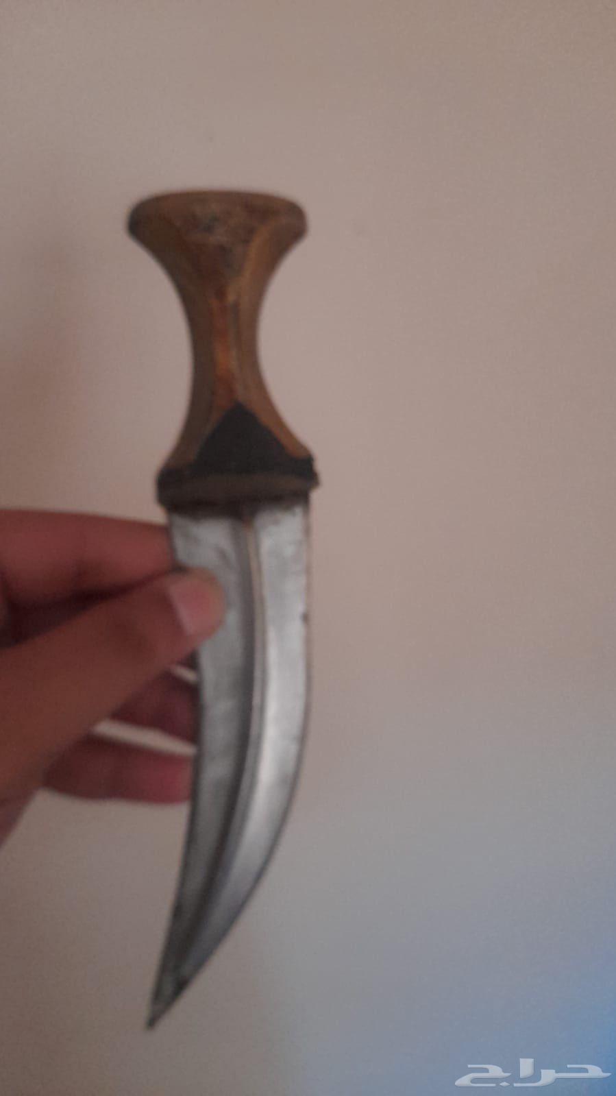 جنبية قرن جاموس64428214854658110