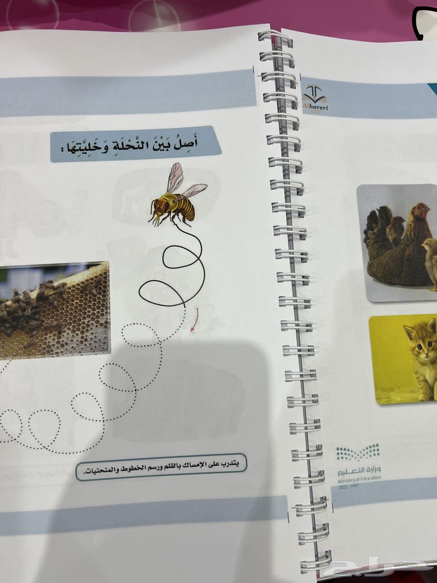 My Language Book for First Grade Elementary 1447H64410594985859112