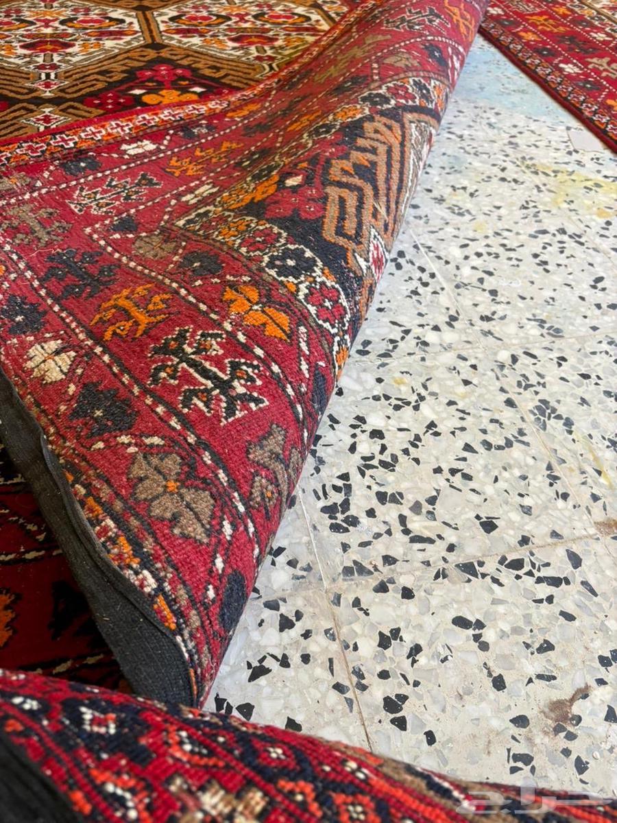 سجاد شيرازي عمره 50 سنه64429330804611112