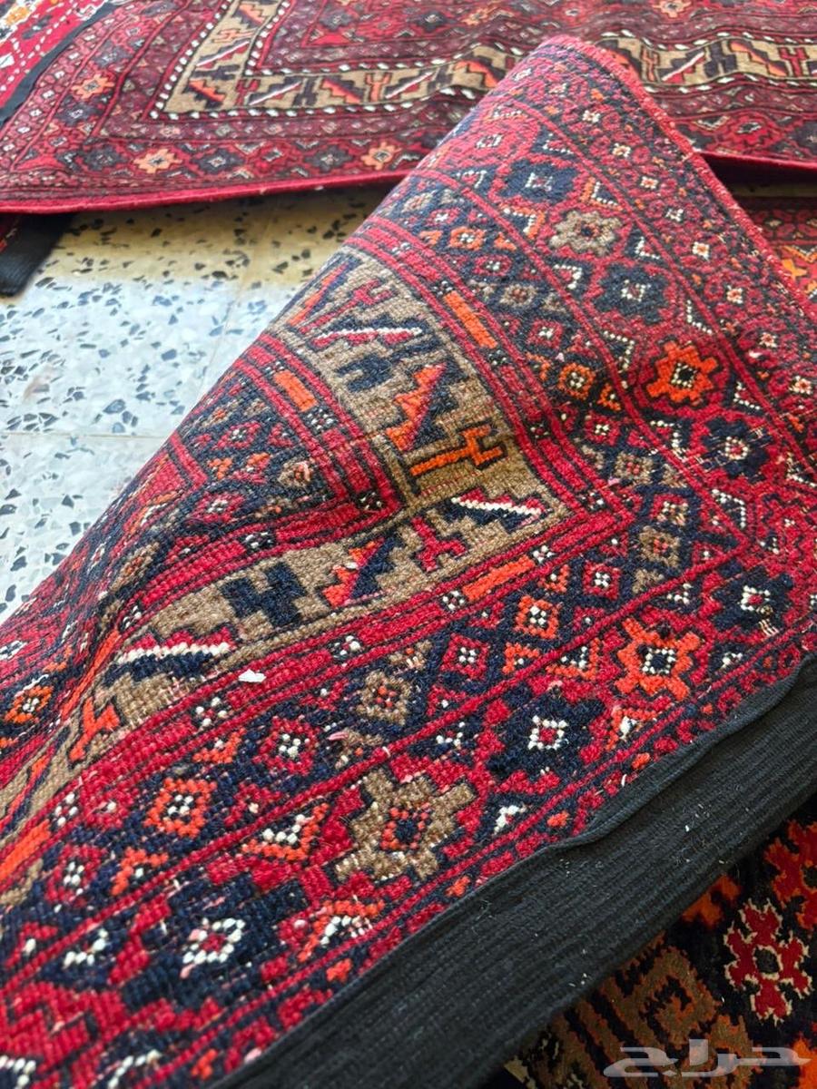 سجاد شيرازي عمره 50 سنه64429330804611113