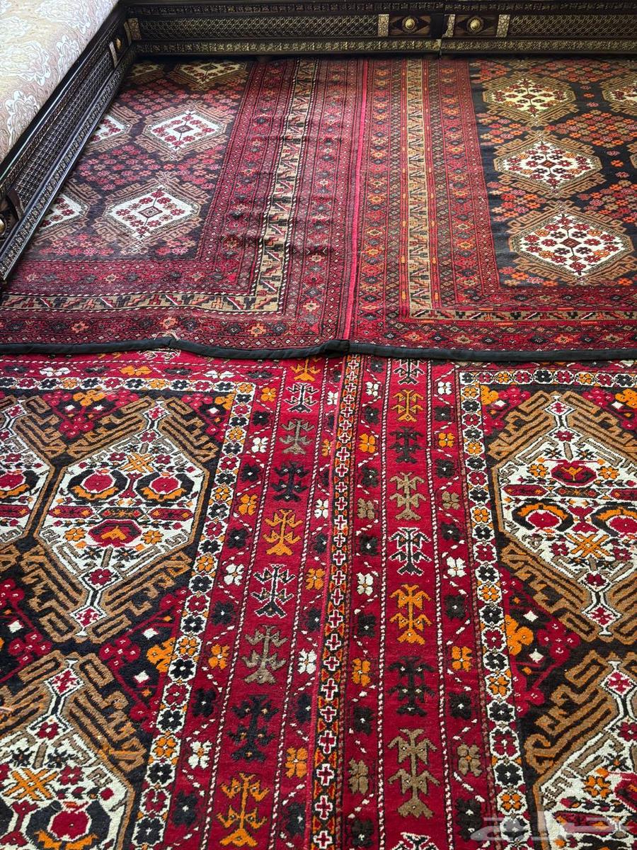 سجاد شيرازي عمره 50 سنه64429330804611110