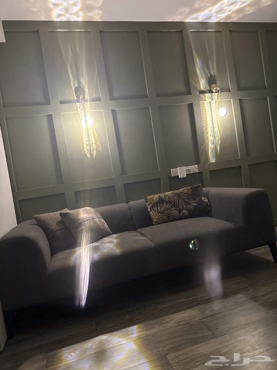 Modern Double Sofa First Grade New64421946770945110