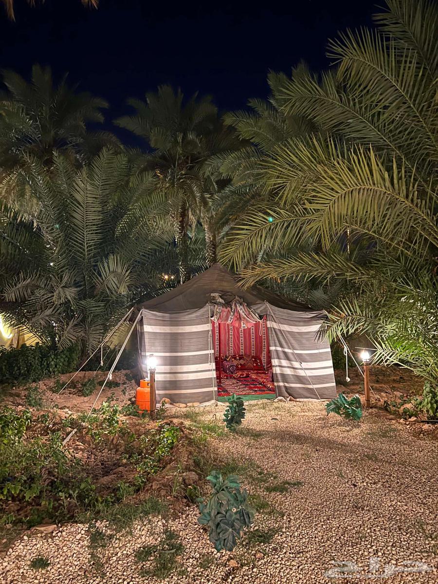 كرفان للإيجار اليومي بالعمارية ب 275 ريال فقط64433283519106112