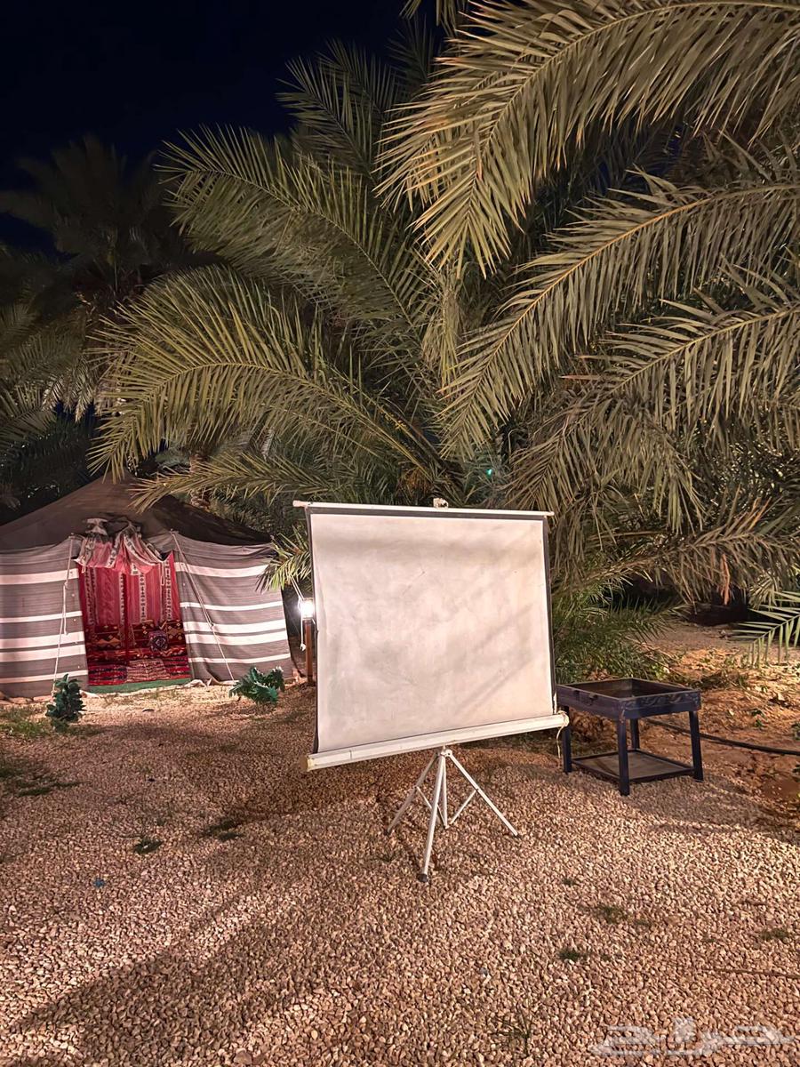 كرفان للإيجار اليومي بالعمارية ب 275 ريال فقط64433283519106113