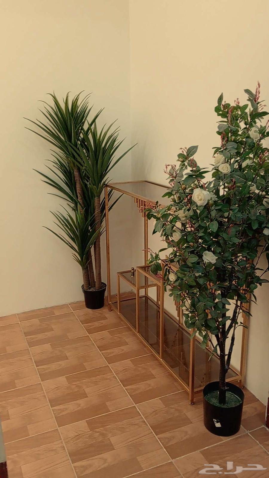 اثاث بيت طاولة ذهبية جديدة64428779470465111