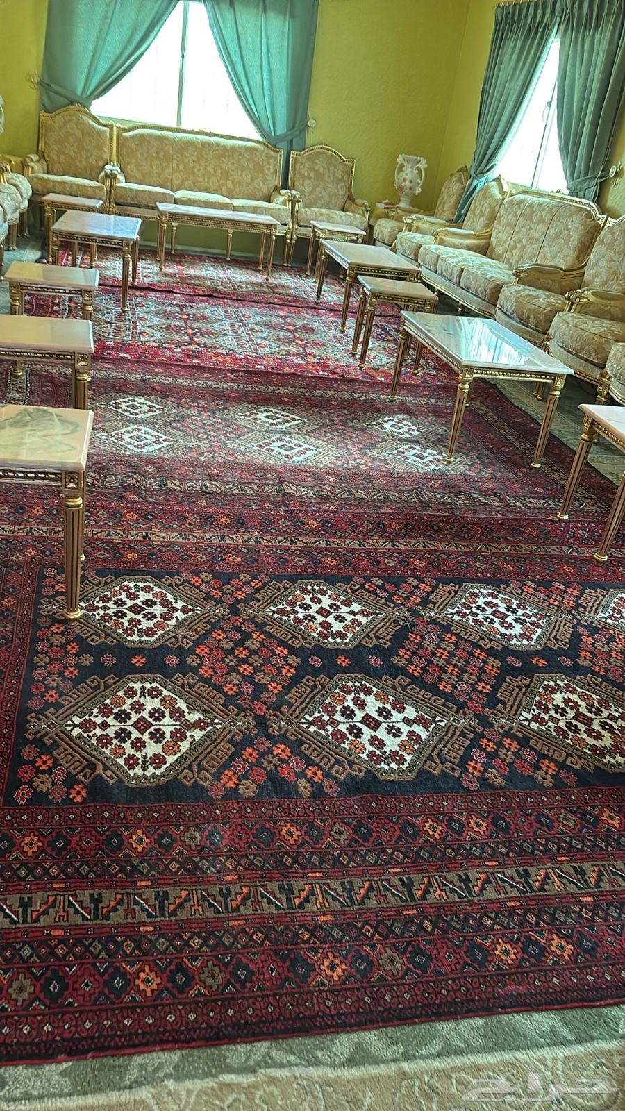 سجاد شيرازي عمره 50 سنه64429330804611111