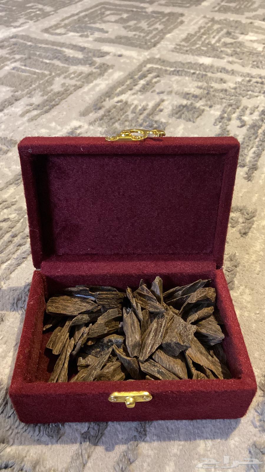 العود الازرق الملكي تبوك توصيل فوري64429357356162113