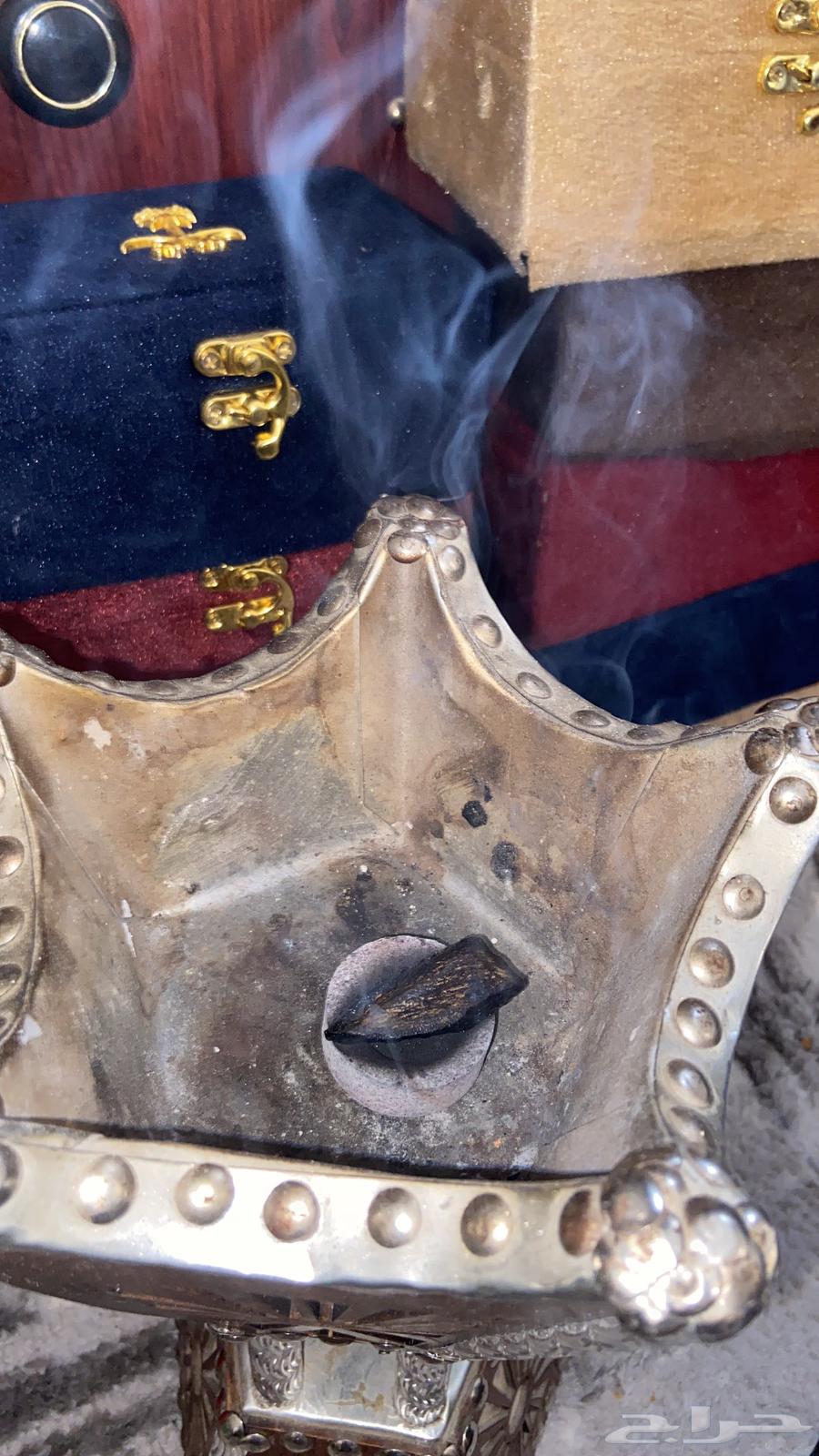 العود الازرق الملكي تبوك توصيل فوري64429357356162114