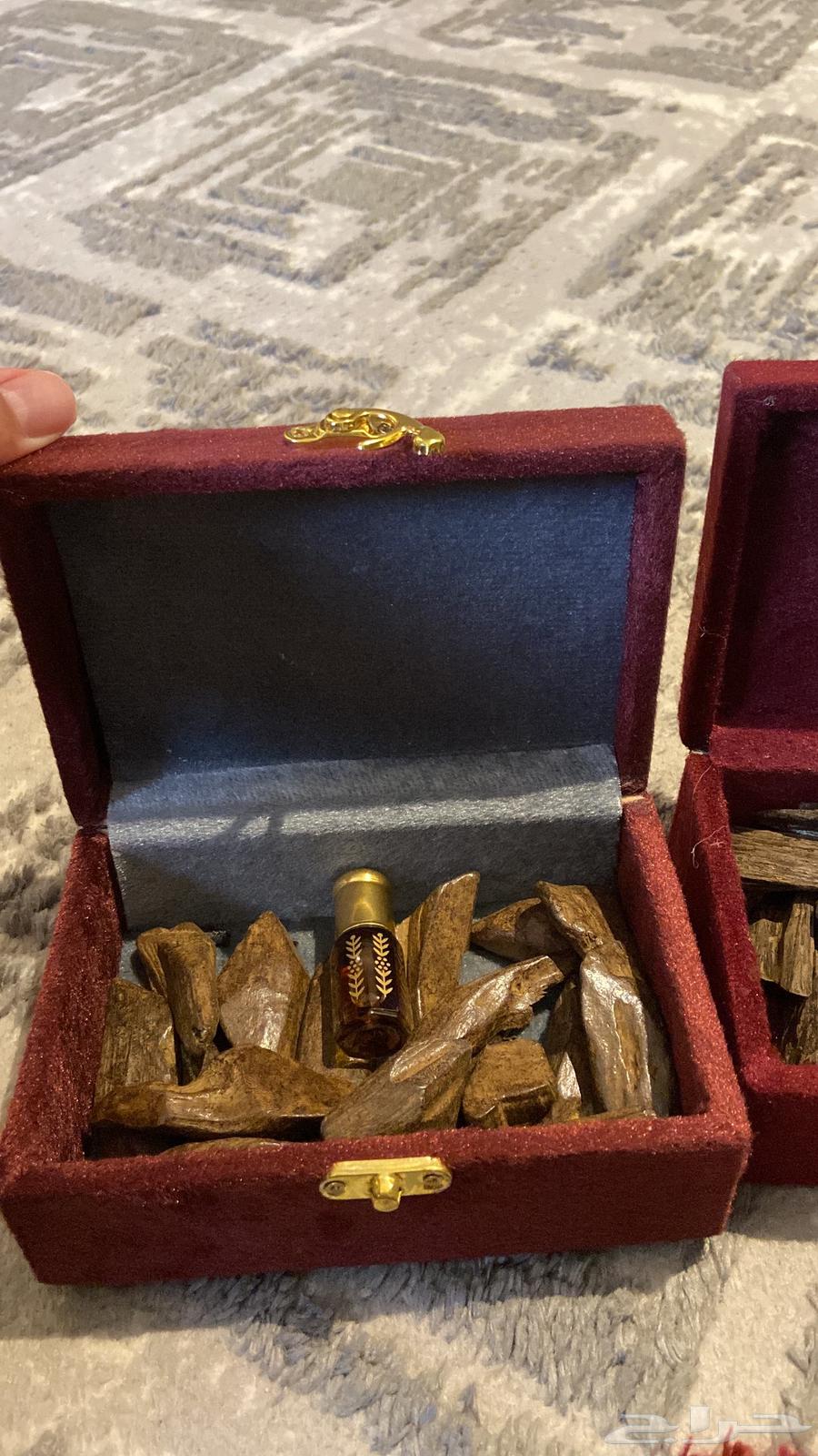 العود الازرق الملكي تبوك توصيل فوري64429357356162110