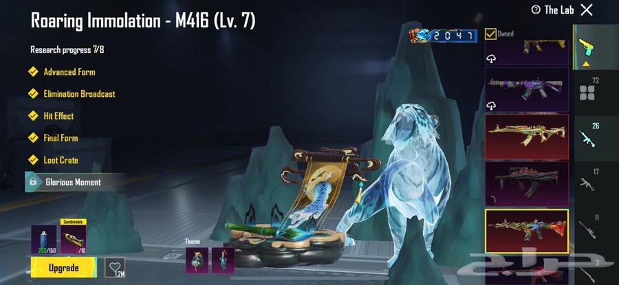 حساب ببجي عالمي مستوى الحساب8464432944569729113