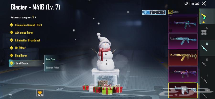 حساب ببجي عالمي مستوى الحساب8464432944569729111