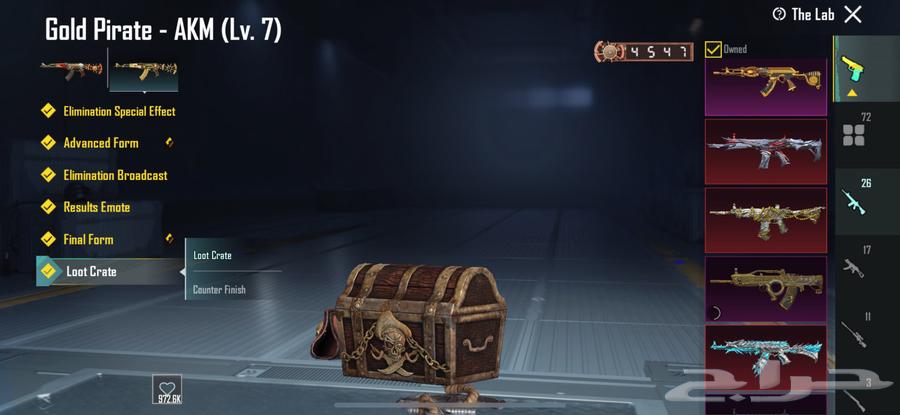 حساب ببجي عالمي مستوى الحساب8464432944569729112