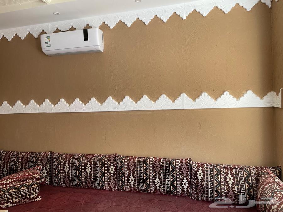 Two sofas and popular cushions64428187837442112