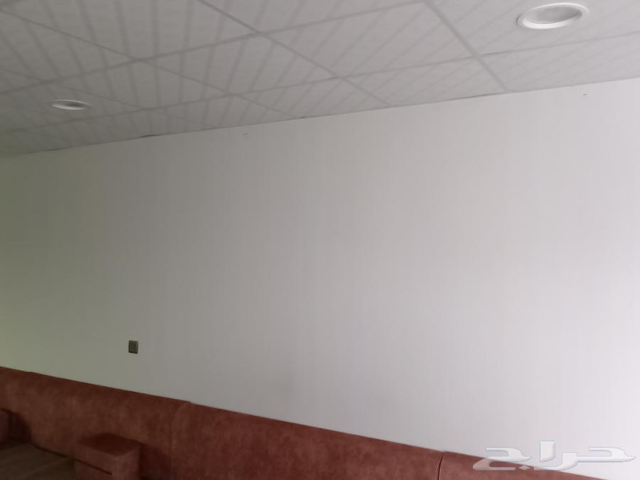 بركس قراميد للبيع64433753441027111