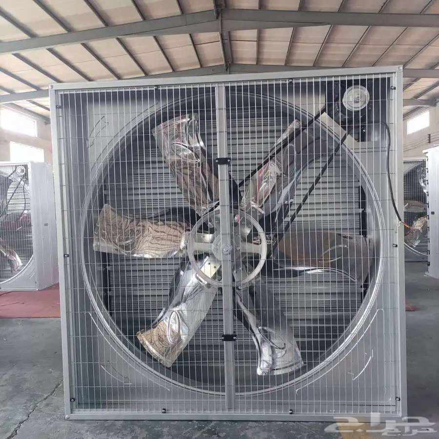 Al-Qassim.. My Mail64428536814465113