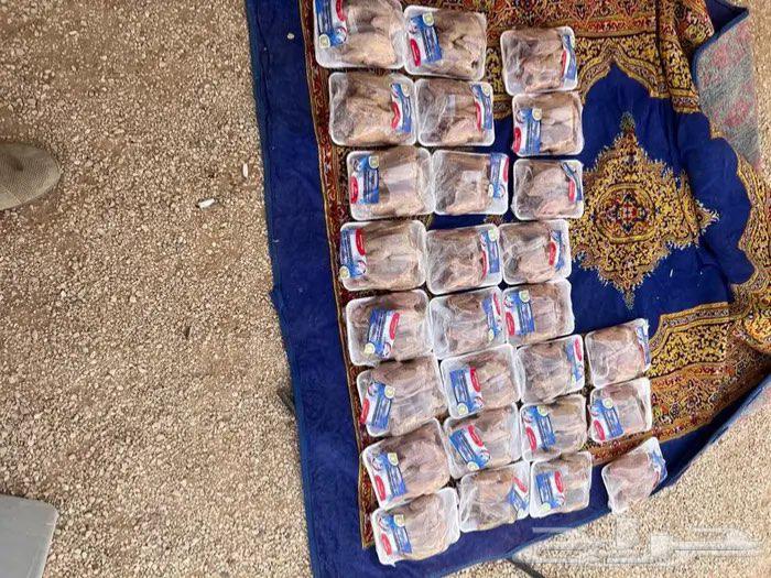 للبيع زغليل حمام فرنسي ابيض وسلفر64438726548995112