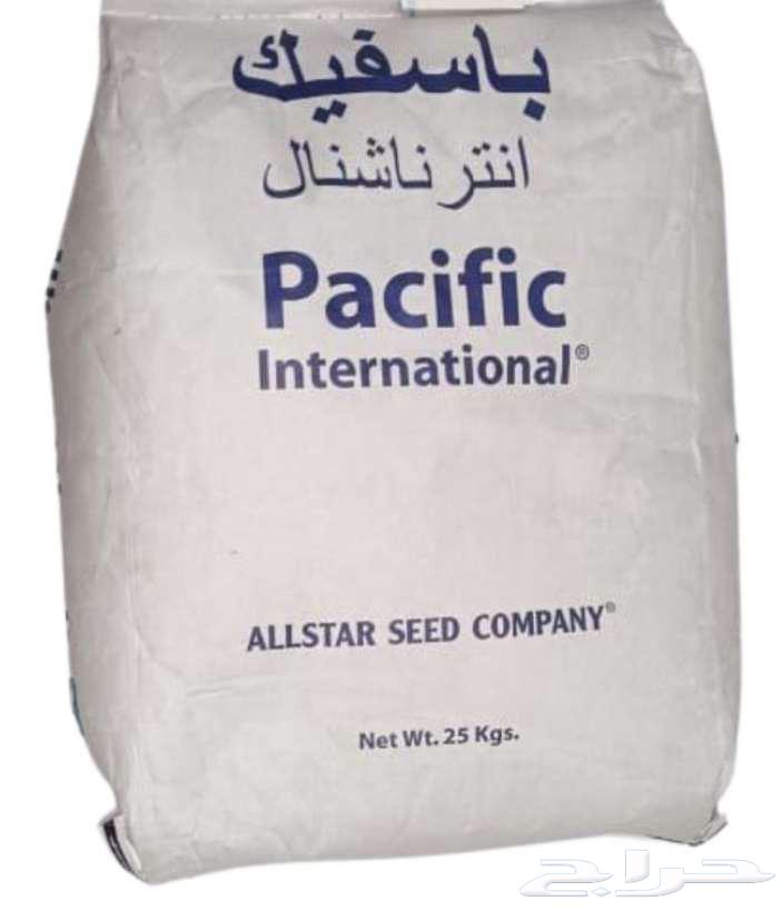 بذار برسيم انترناشونال امريكي64437004840322110