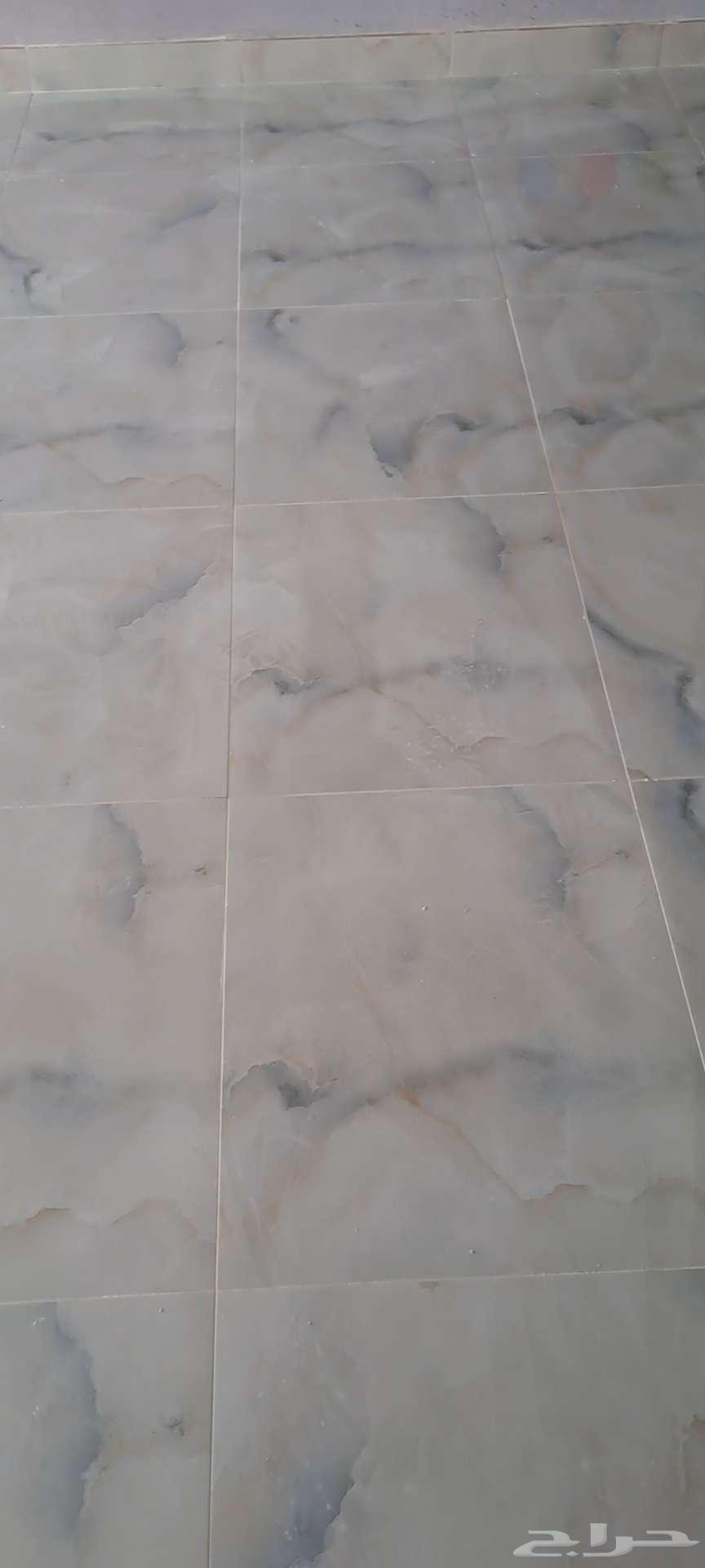 201564501889860867113