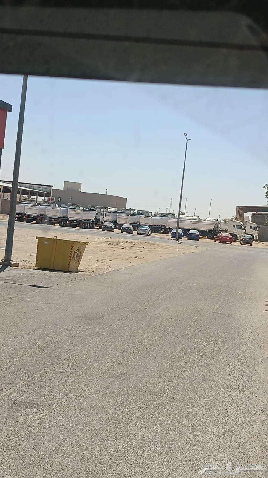 متوفر 30 راس تريله مع30 قلاب باسعار جباره64594874655618110