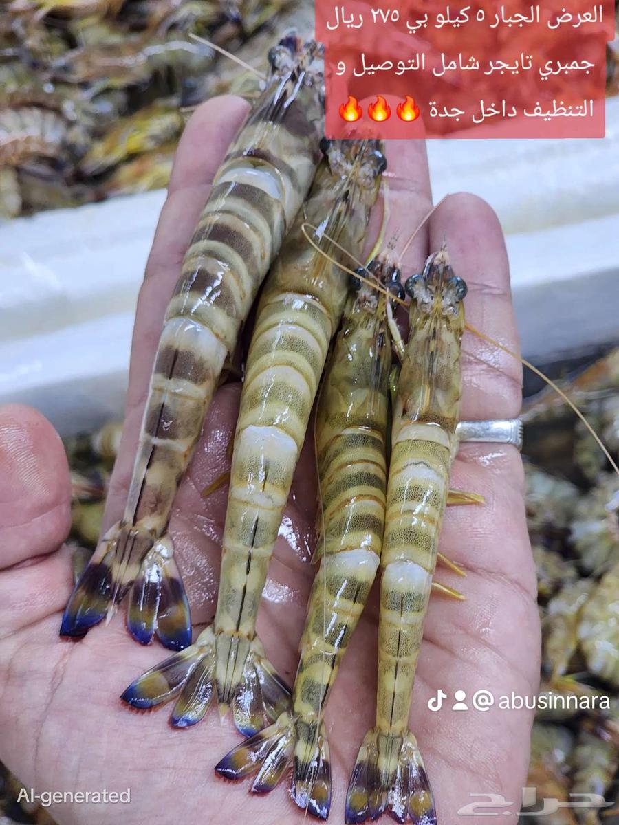 جمبري تايجر عرض 5 كيلو بي 275ريال شامل التوصيل و التنظيف فقط64435625336961110