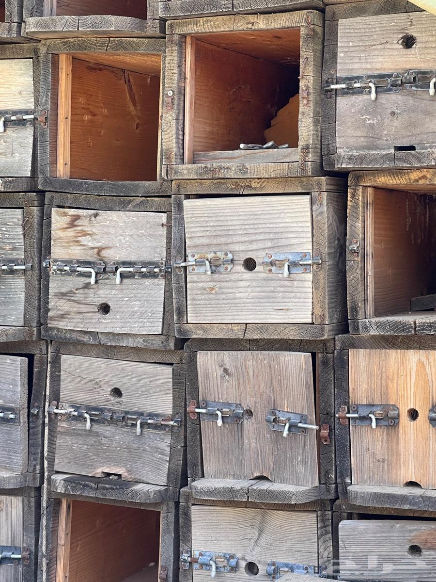 Used empty honeycombs and local & foreign bee hives64435656052225112